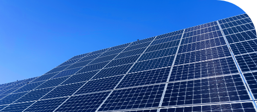 独自の仕入れルート