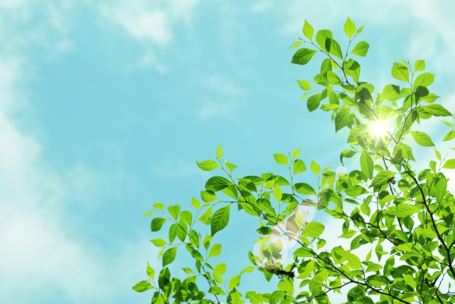 エコのイメージ